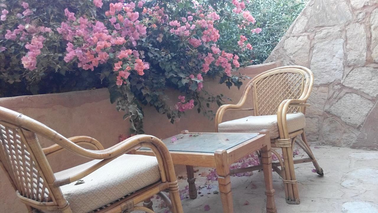 Eskaleh Eco-Lodge أبو سمبل المظهر الخارجي الصورة